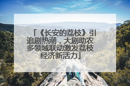 《长安的荔枝》引追剧热潮，大剧助农多领域联动激发荔枝经济新活力