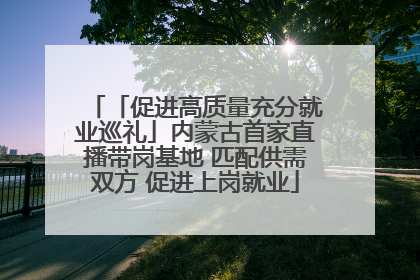 「促进高质量充分就业巡礼」内蒙古首家直播带岗基地 匹配供需双方 促进上岗就业