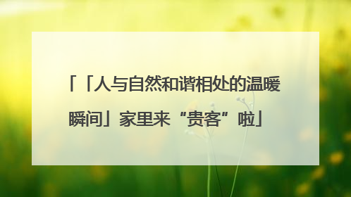 「人与自然和谐相处的温暖瞬间」家里来“贵客”啦