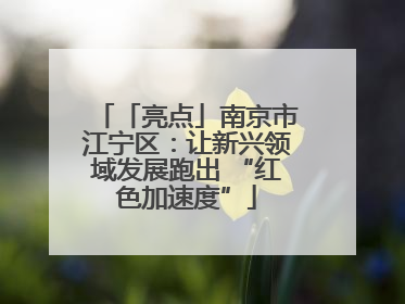 「亮点」南京市江宁区：让新兴领域发展跑出 “红色加速度”