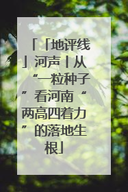 「地评线」河声丨从“一粒种子”看河南“两高四着力”的落地生根