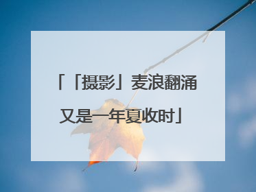「摄影」麦浪翻涌 又是一年夏收时