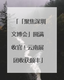 「聚焦深圳文博会」圆满收官！云南展团收获颇丰