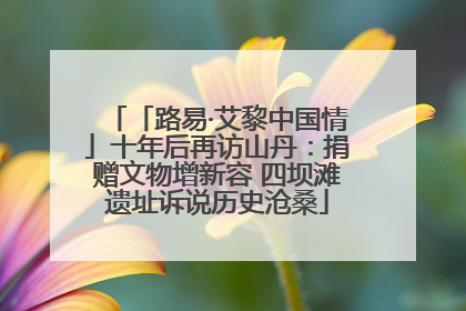 「路易·艾黎中国情」十年后再访山丹：捐赠文物增新容 四坝滩遗址诉说历史沧桑