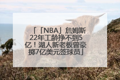 「NBA」詹姆斯22年工龄挣不到5亿！湖人新老板曾豪掷7亿美元签球员