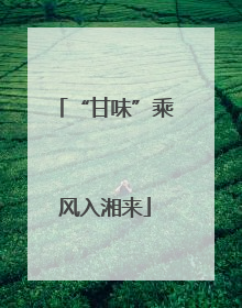 “甘味”乘风入湘来
