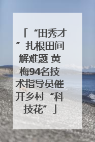 “田秀才”扎根田间解难题 黄梅94名技术指导员催开乡村“科技花”