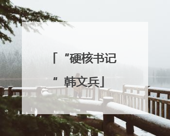 “硬核书记”韩文兵