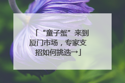 “童子蟹”来到厦门市场，专家支招如何挑选→