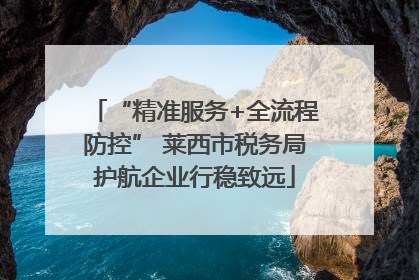 “精准服务+全流程防控” 莱西市税务局护航企业行稳致远