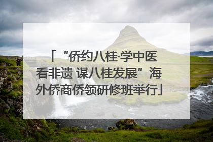 “侨约八桂·学中医 看非遗 谋八桂发展”海外侨商侨领研修班举行