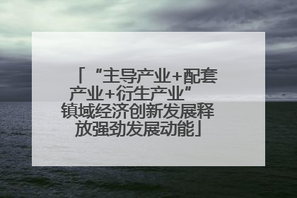 “主导产业+配套产业+衍生产业” 镇域经济创新发展释放强劲发展动能