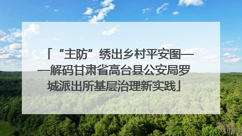 “主防”绣出乡村平安图——解码甘肃省高台县公安局罗城派出所基层治理新实践