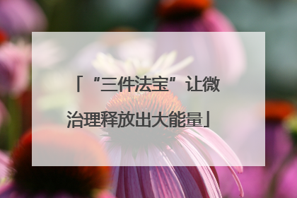 “三件法宝”让微治理释放出大能量