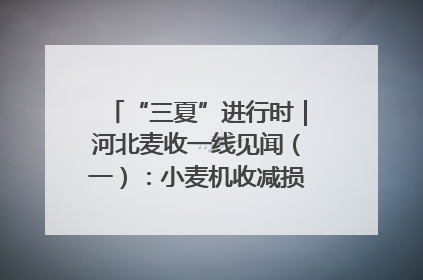“三夏”进行时｜河北麦收一线见闻（一）：小麦机收减损“竞技” 农机高手麦田“过招”