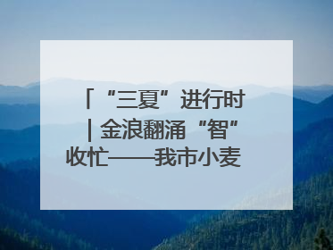 “三夏”进行时｜金浪翻涌“智”收忙——我市小麦开镰收割见闻