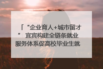 “企业育人+城市留才” 宜宾构建全链条就业服务体系促高校毕业生就业｜您牵挂的四川