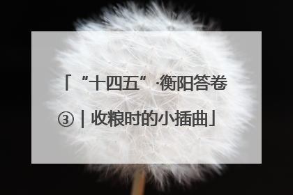 “十四五”·衡阳答卷③｜收粮时的小插曲