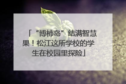 “博柿岛”结满智慧果！松江这所学校的学生在校园里探险