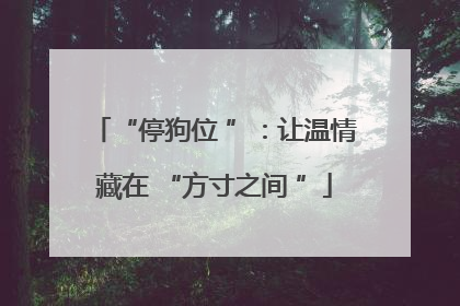 “停狗位 ”：让温情藏在 “方寸之间 ”