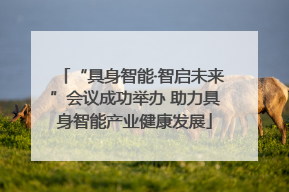 “具身智能·智启未来”会议成功举办 助力具身智能产业健康发展