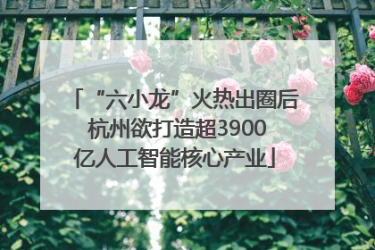 “六小龙”火热出圈后 杭州欲打造超3900亿人工智能核心产业
