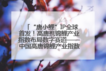 “唐小鲤”IP全球首发！高唐携锦鲤产业指数布局数字赛道——中国高唐锦鲤产业指数暨“唐小鲤”IP全球首发仪式在杭州举行
