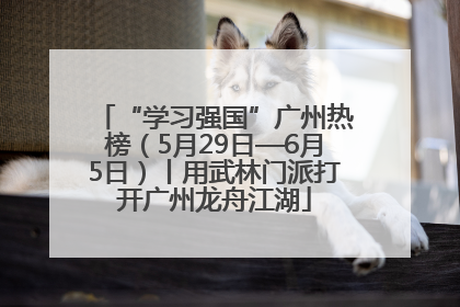 “学习强国”广州热榜（5月29日—6月5日）丨用武林门派打开广州龙舟江湖