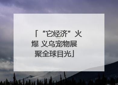 “它经济”火爆 义乌宠物展聚全球目光