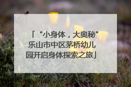 “小身体，大奥秘” 乐山市中区茅桥幼儿园开启身体探索之旅