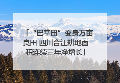 “巴掌田”变身万亩良田 四川合江耕地面积连续三年净增长
