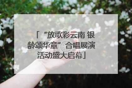 “放歌彩云南 银龄颂华章”合唱展演活动盛大启幕