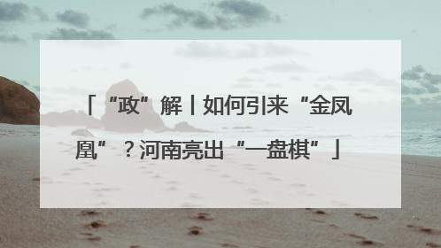“政”解丨如何引来“金凤凰”？河南亮出“一盘棋”
