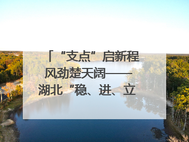 “支点”启新程 风劲楚天阔——湖北“稳、进、立、破”谱写“荆”彩篇章