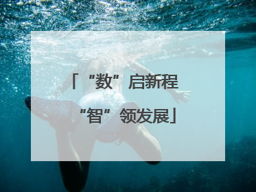 “数”启新程 “智”领发展