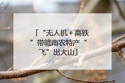 “无人机＋高铁”带赣南农特产“飞”出大山
