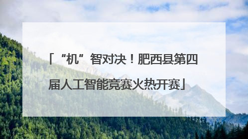 “机”智对决！肥西县第四届人工智能竞赛火热开赛