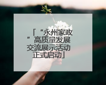 “永州家政”高质量发展交流展示活动正式启动