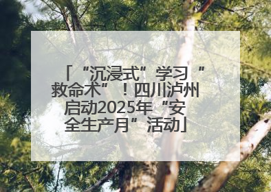 “沉浸式”学习“救命术”！四川泸州启动2025年“安全生产月”活动