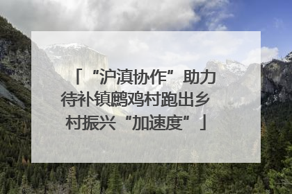 “沪滇协作”助力待补镇鹧鸡村跑出乡村振兴“加速度”