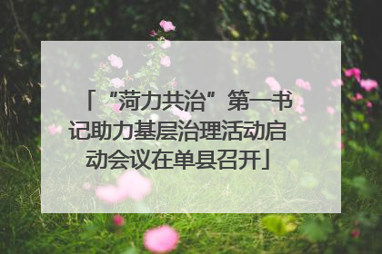 “菏力共治”第一书记助力基层治理活动启动会议在单县召开