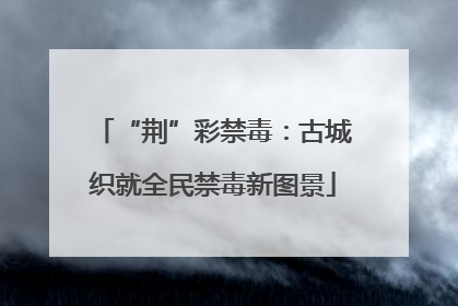 “荆”彩禁毒：古城织就全民禁毒新图景