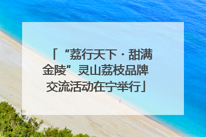 “荔行天下・甜满金陵”灵山荔枝品牌交流活动在宁举行