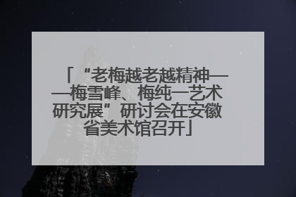 “老梅越老越精神——梅雪峰、梅纯一艺术研究展”研讨会在安徽省美术馆召开