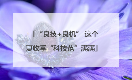 “良技+良机” 这个夏收季“科技范”满满