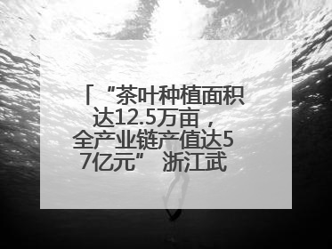 “茶叶种植面积达12.5万亩，全产业链产值达57亿元” 浙江武义茶产业全链发展“加速度”