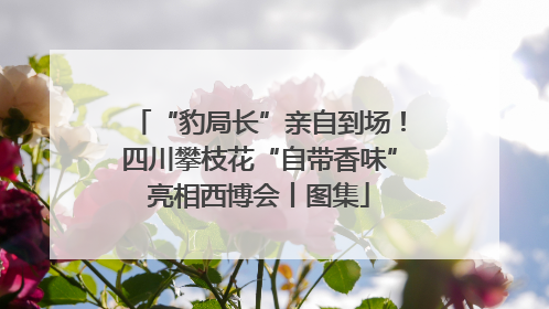 “豹局长”亲自到场！四川攀枝花“自带香味”亮相西博会丨图集