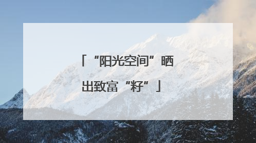 “阳光空间”晒出致富“籽”