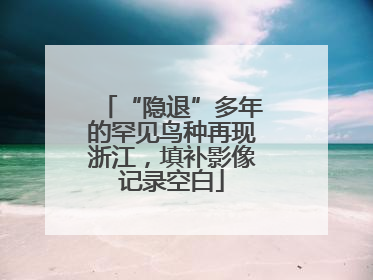 “隐退”多年的罕见鸟种再现浙江，填补影像记录空白