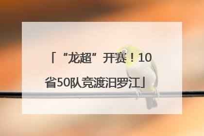 “龙超”开赛！10省50队竞渡汨罗江